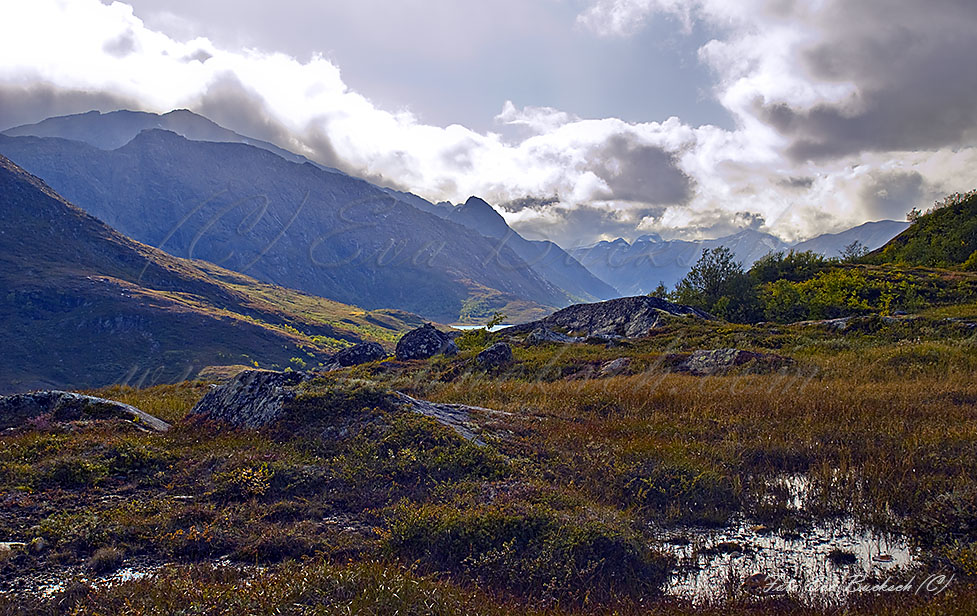 Foto av Eva Bucksch